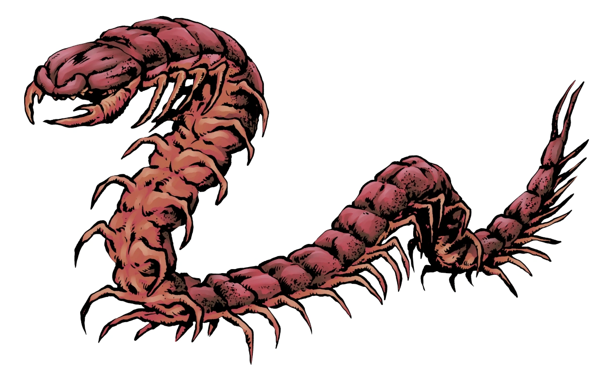 Subterrapede